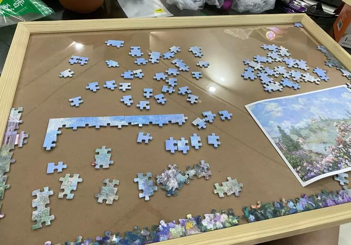 我为拼图狂