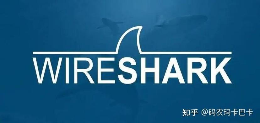 SurfShark国内使用教程