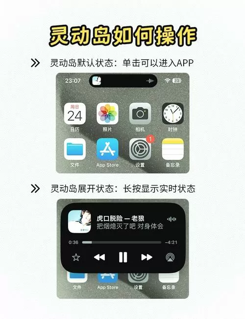 outline加速器1100