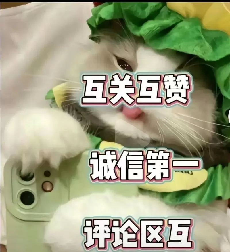 天天互赞