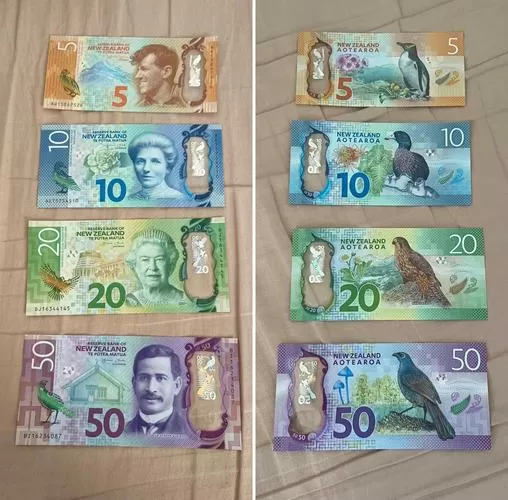500新西兰币图标