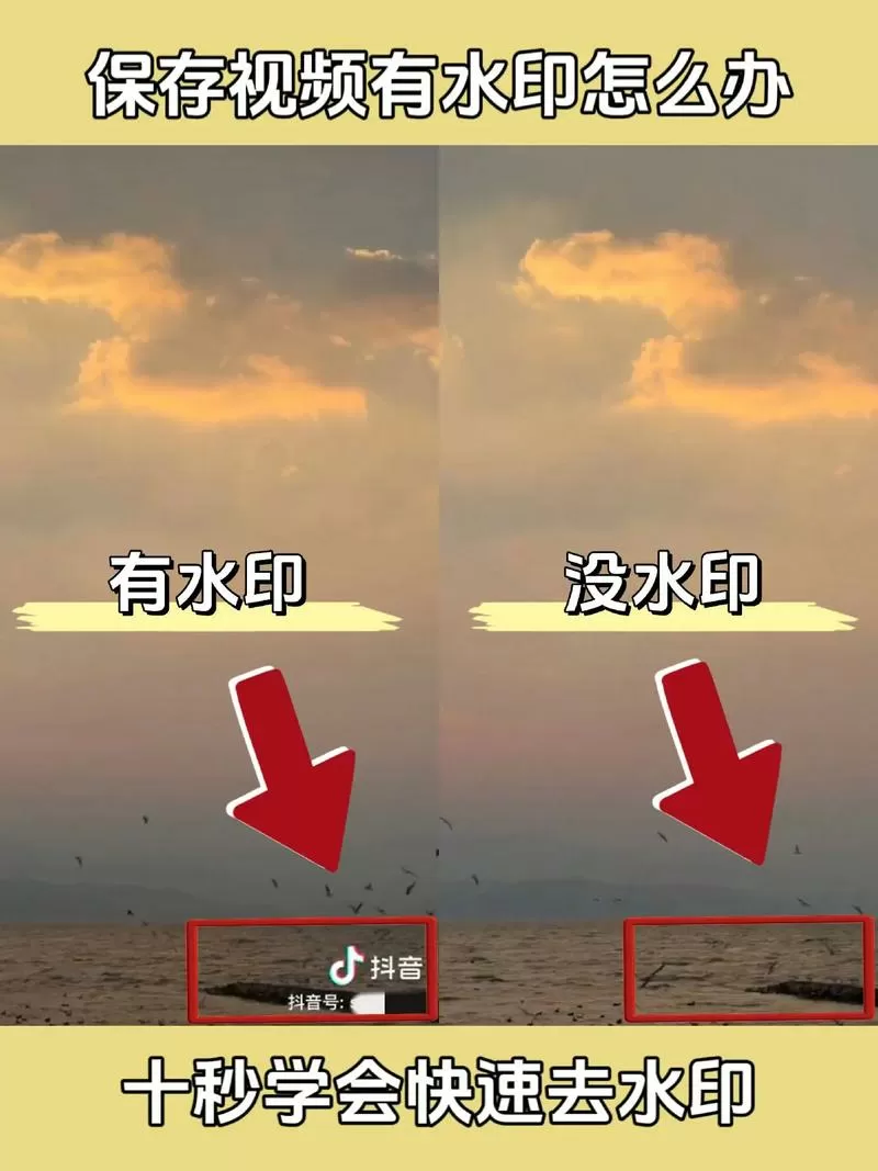 视频去水印免费软件不需要登录