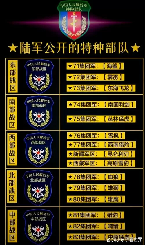 六队装甲部队中文版内置菜单图标