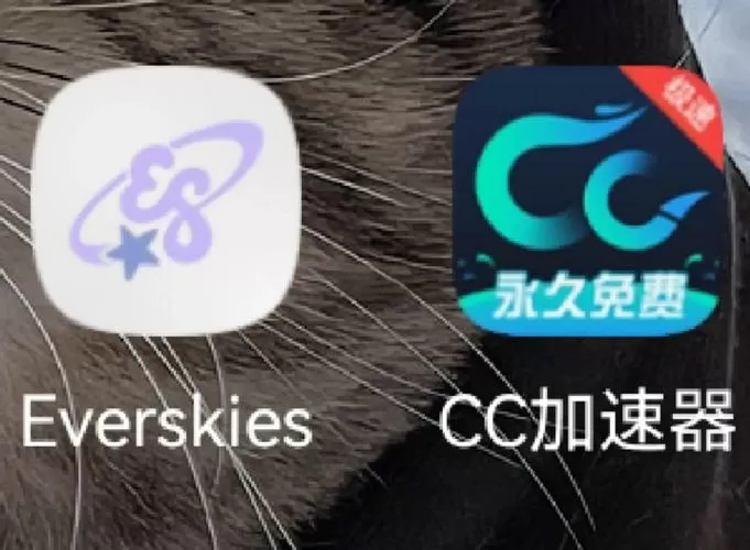 everskies免登录破解版图标