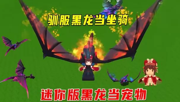 迷你世界如何驯服黑龙坐骑图标
