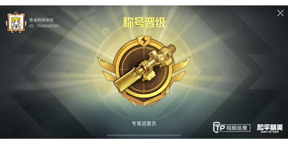 和平精英巡查员图标