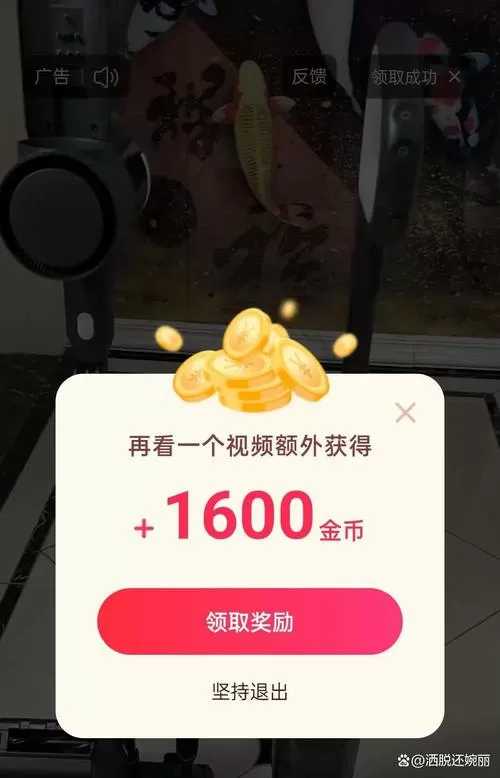 我的极品主播红包