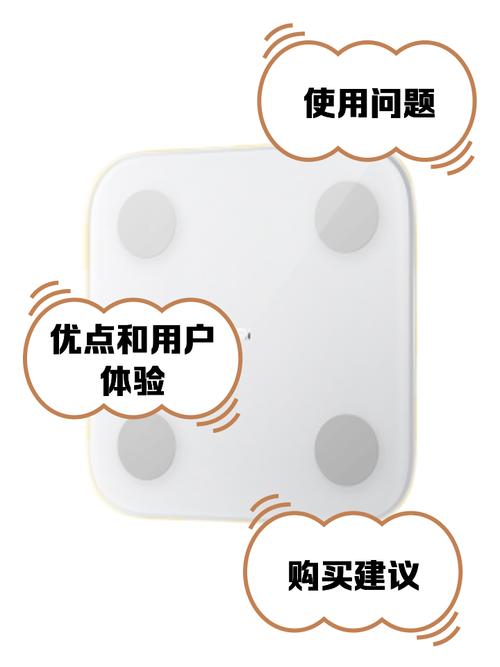 小米体脂秤2准吗图标