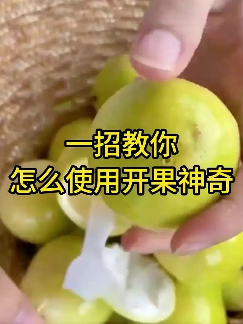 香果视频极速版v1.0.0
