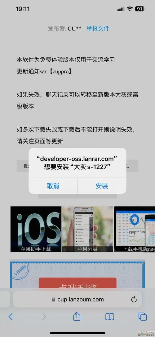 大灰微信分身版苹果免费下载