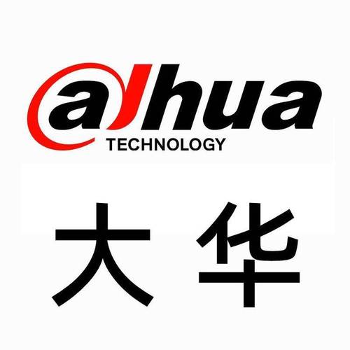 大华配置工具图标