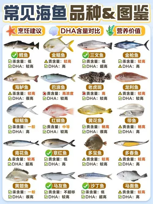 169种海鱼名称及图片图标