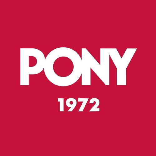 pony翻译成中文