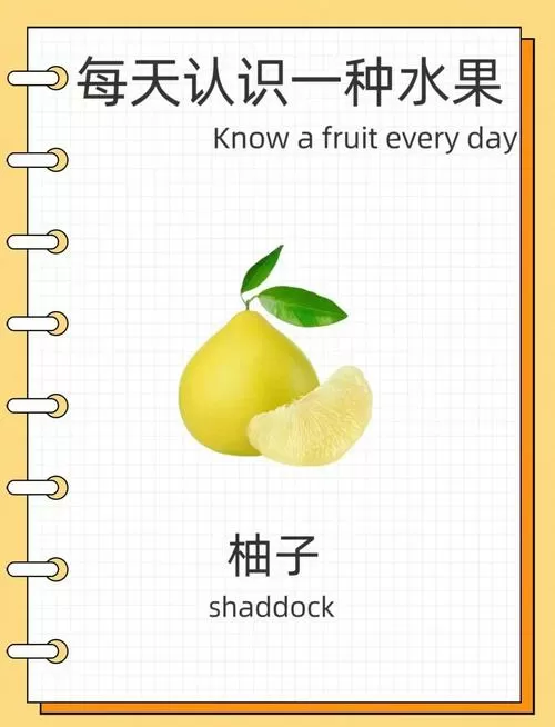 柚子视频免费版