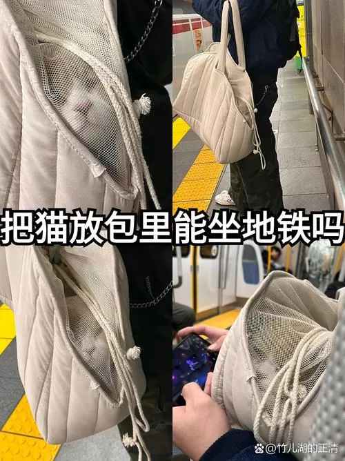 有猫包可以上地铁吗图标