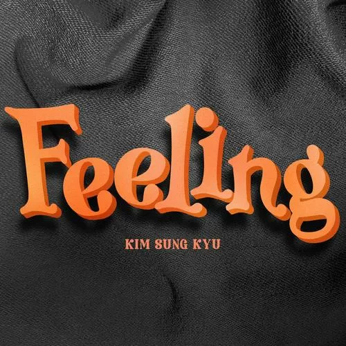 feeling mv