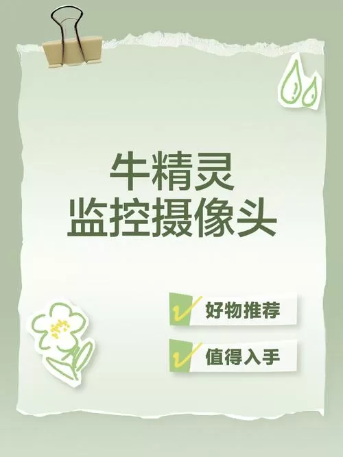 牛精灵摄像头为什么打不开图标