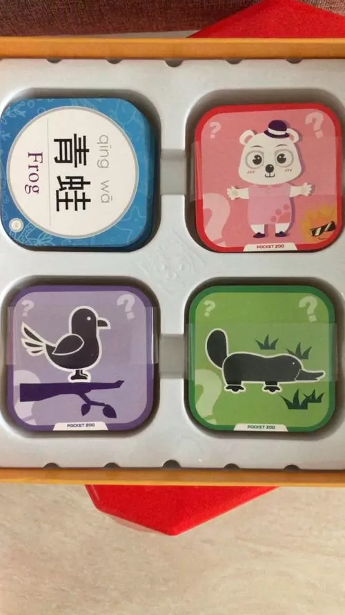 ar口袋动物园安卓版图标