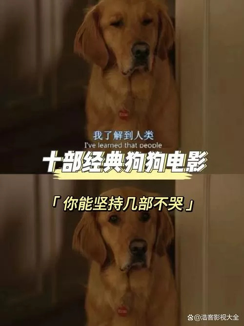 影视狗
