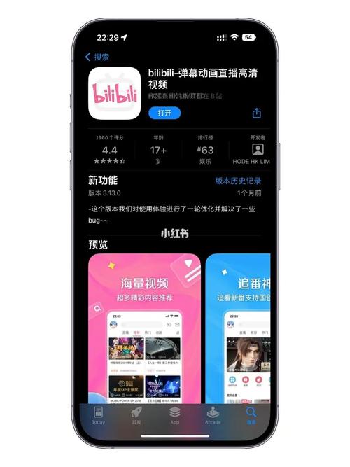 哔哩哔哩国际版官网入口