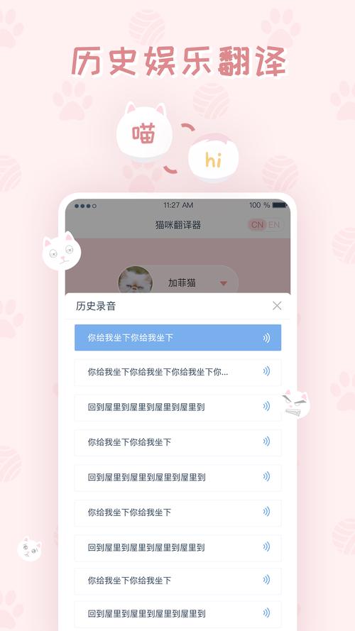 和猫咪说话的软件