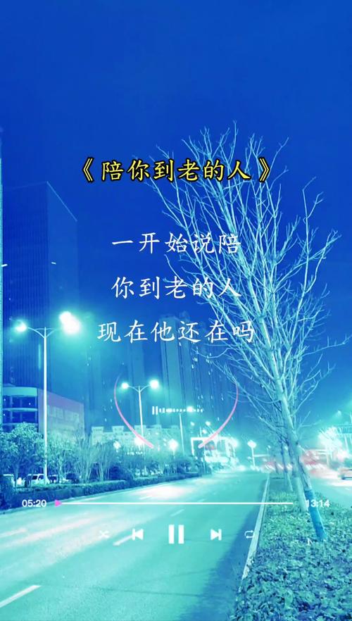 陪你到老的人mp3图标