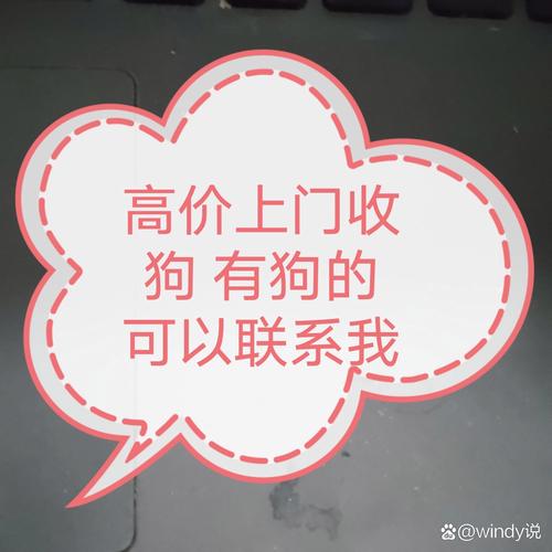 女王收狗的联系方式和联系电话图标