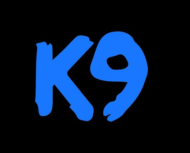 字母圈k9日常训练任务