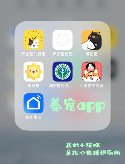 宠爱app怎么没有了