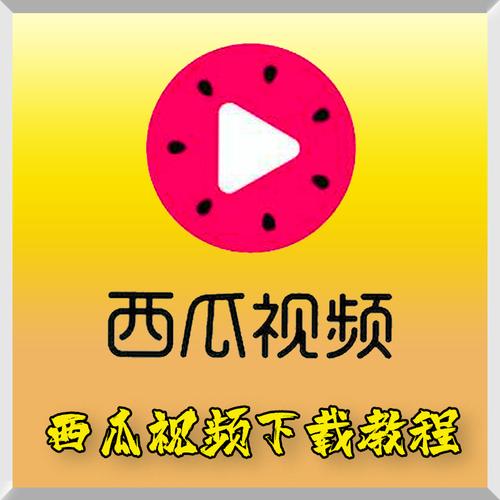 西瓜视频怎么安装