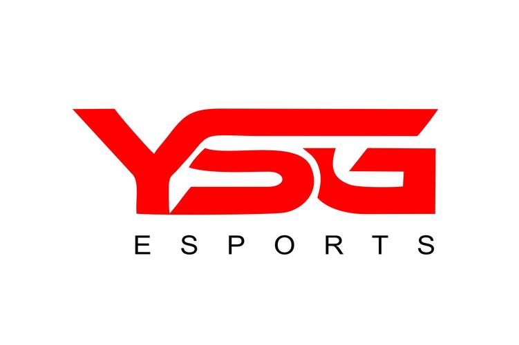 ysg是什么意思图标