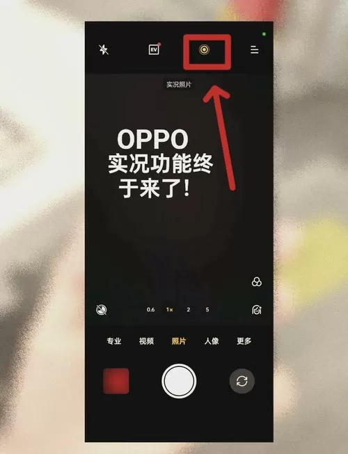 oppo拍照实况在哪图标