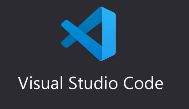 VS code图标