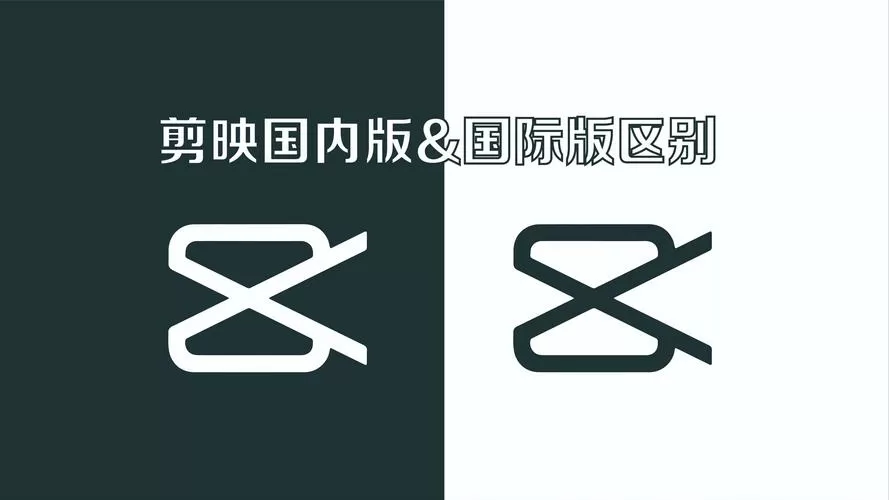 剪影和掠影的区别