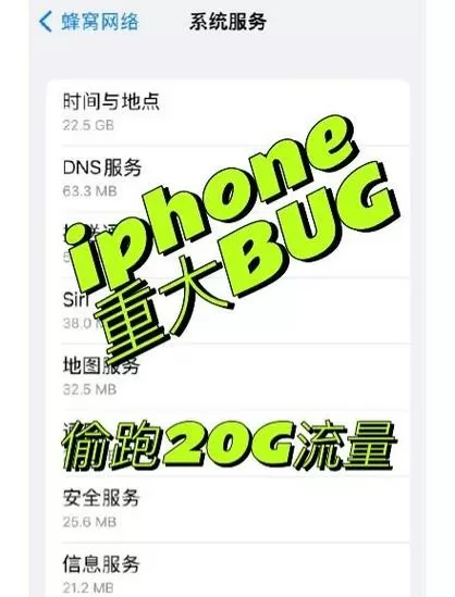 苹果怎么看流量使用情况图标