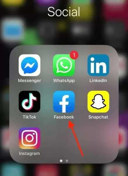 faceapp高级版破解内购版