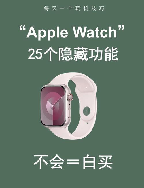 苹果手表可以碰一碰支付吗图标