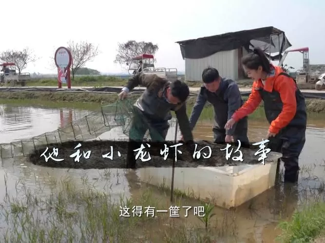龙虾养成记