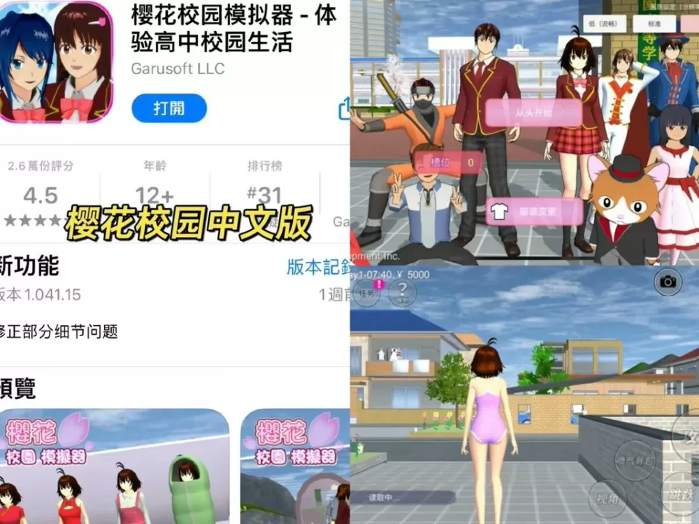 樱花9.1免费版安装