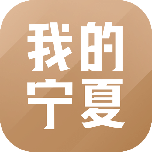 宁夏app官方正版图标