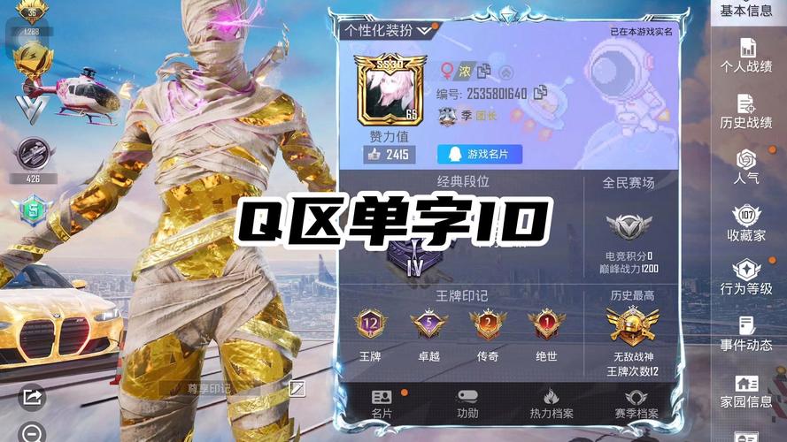 和平精英单字查询系统