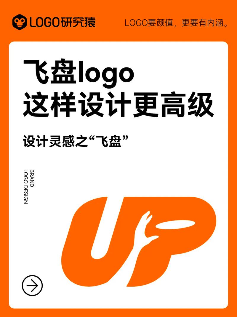 快手飞盘s1原视频