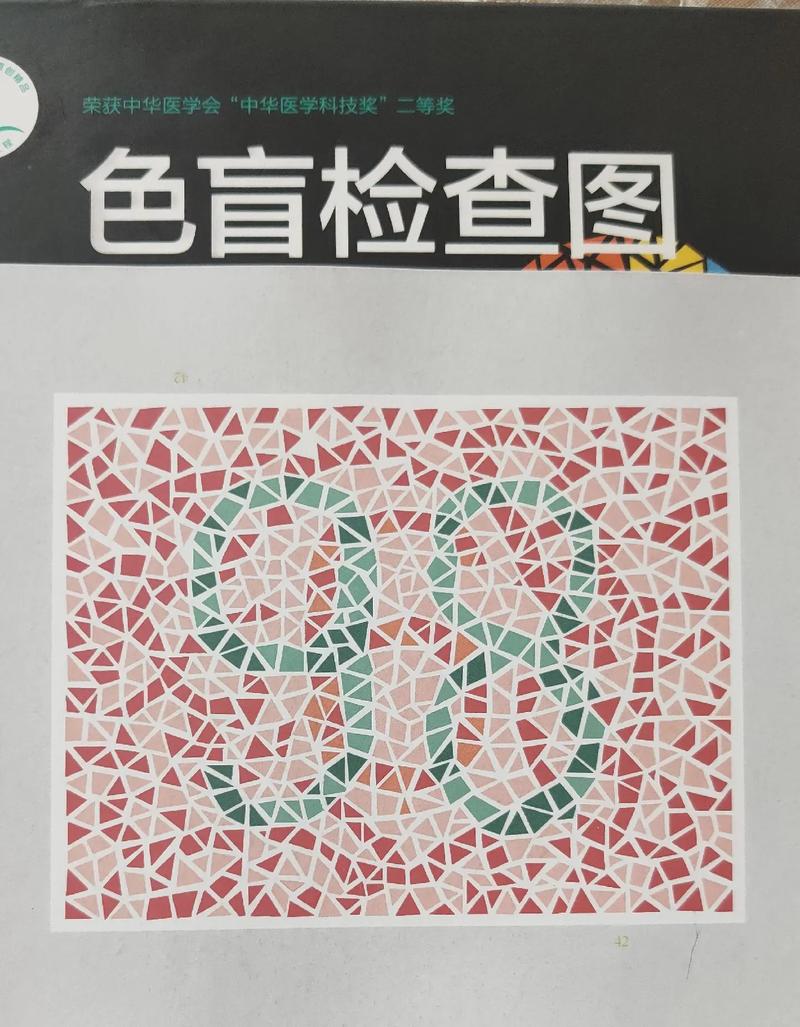 色盲检查图第六版pdf图标