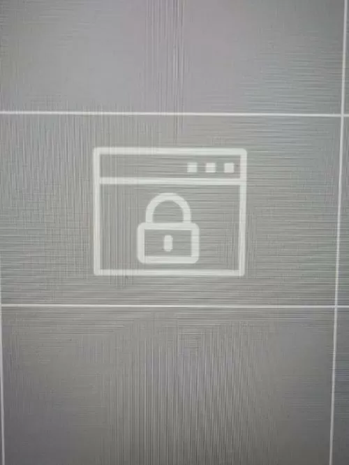 摄像头显示已休眠什么意思图标
