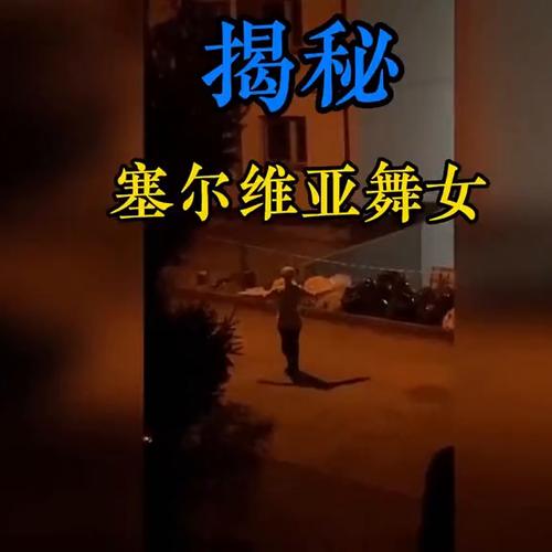 塞尔维亚舞女在中国吗图标