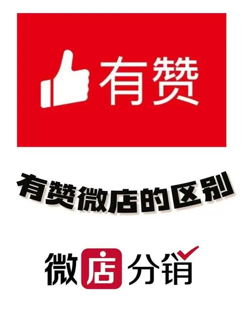 有赞和快手小店哪个好一点图标