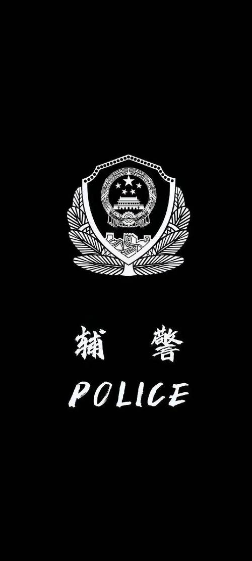 中国警察模拟器手机版