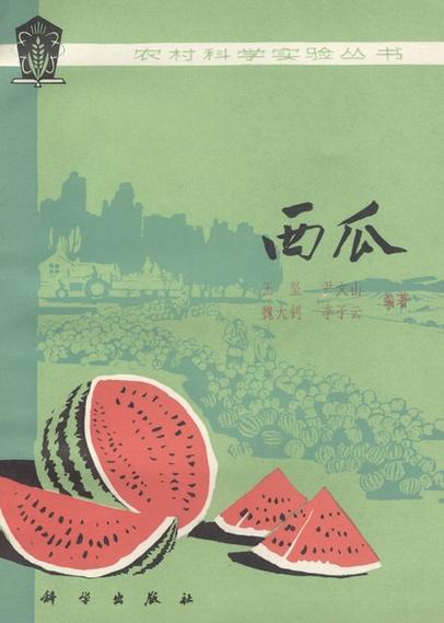 西瓜书图标
