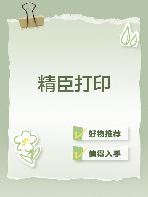 精臣云打印怎么设置