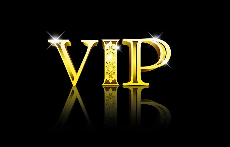 vip工作室